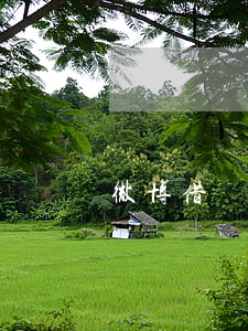 微博借錢逾期微信(微博借錢逾期微信)
