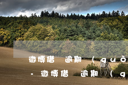 微博借錢逾期過(guò) 全部還清還能借-微博借錢逾期過(guò) 全部還清還能借嗎