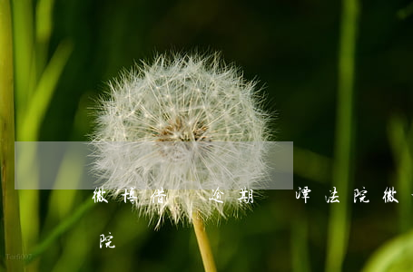 微博借錢逾期鷹潭法院(微博借錢逾期鷹潭法院)