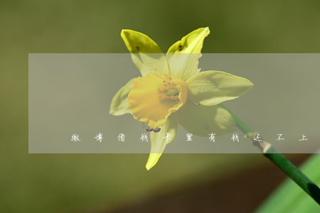 微博借钱卡里有钱还不上算逾期么