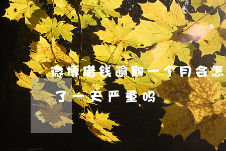 微博借钱逾期一个月会怎会样(微博借钱逾期了一天严重吗)