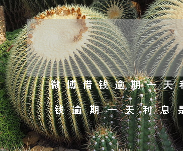 微博借钱逾期一天利息是怎么算的-微博借钱逾期一天利息是怎么算的呢