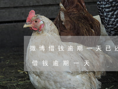 微博借钱逾期一天已还 二次能借出来吗（微博借钱逾期一天）