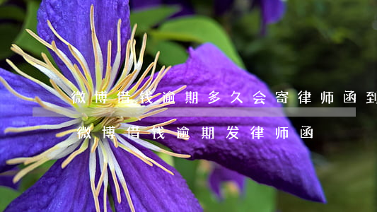 微博借钱逾期多久会寄律师函到户籍地（新浪微博借钱逾期发律师函）