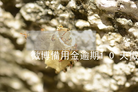 微博備用金逾期10天(微博備用金期限多久)