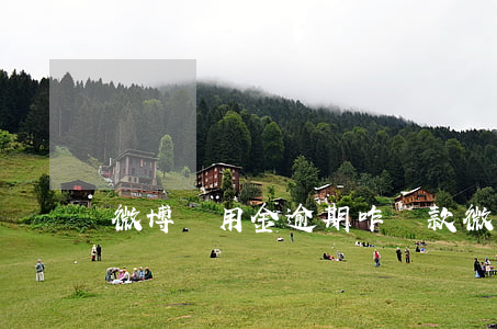 微博備用金逾期咋還款(微博備用金多久還款)