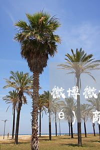 微博微博協(xié)商還款怎么協(xié)商電話(huà)多少-微博能協(xié)商還款嗎