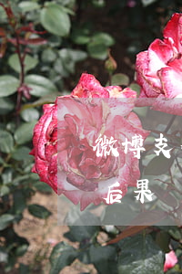 微博支付寶還款逾期(支付寶逾期不還有什么后果嗎)