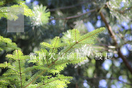 微博欠款逾期會被起訴嗎(微博逾期會怎樣)