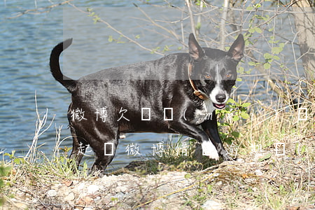 微博欠錢沒(méi)還說(shuō)要起訴(微博借錢逾期說(shuō)起訴我)