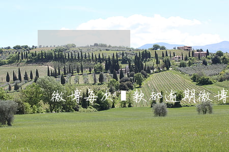 微博每次還款都逾期(微博每次還款都逾期)