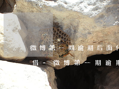 微博第一期逾期后面什么時(shí)候能借-微博第一期逾期后面什么時(shí)候能借錢