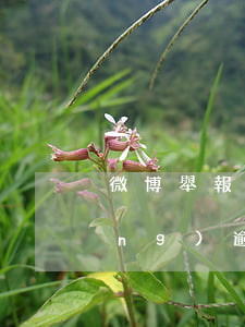 微博舉報(bào)發(fā)獎(jiǎng)逾期有用嗎(微博舉報(bào)成功對方有什么懲罰)