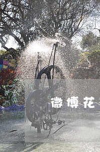 微博花花金逾期协商(微博花花金还不了款)