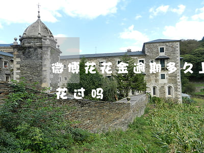 微博花花金逾期多久上征信(微博花花金征信花过吗)