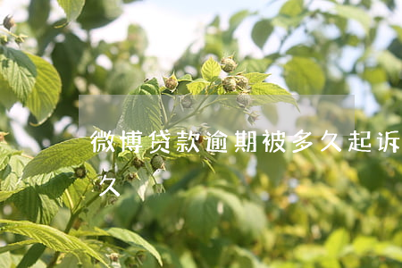 微博贷款逾期被多久起诉(微博借款能逾期多久)