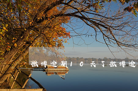 微博逾期10天了(微博逾期10天了會怎樣)