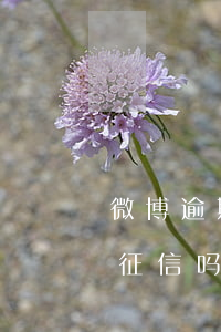 微博逾期2天有事吗（微博逾期三天还会影响征信吗）