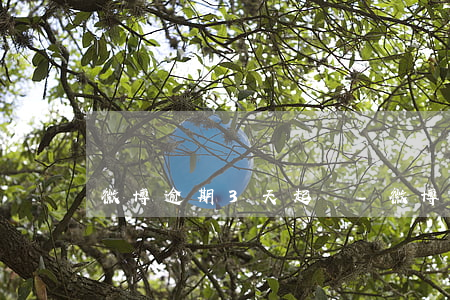 微博逾期3天起訴-微博逾期兩天