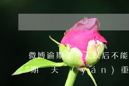 微博逾期了兩天以后不能借了是嗎-微博逾期兩天嚴(yán)重嗎