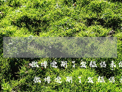微博逾期了发短信来说要起诉我会怎么样-微博逾期了发短信来说要起诉我会怎么样呢