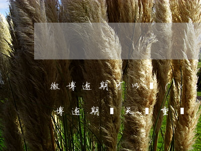微博逾期可以協(xié)商推遲還款嗎 微博逾期兩天嚴重嗎