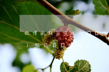 微博逾期后可以起訴嗎(微博逾期了發(fā)短信來說要起訴我 會怎么樣)