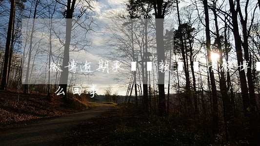 微博逾期承諾還款沒還清(微博還款還不了怎么回事)