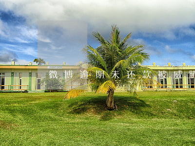 微博逾期未还款被威胁(微博逾期会通知家人)