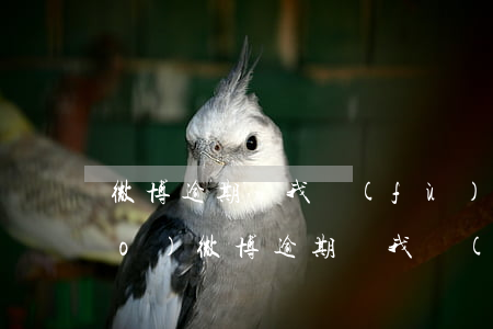 微博逾期讓我復(fù)述身份證號(hào)(微博逾期讓我復(fù)述身份證號(hào)可以嗎)