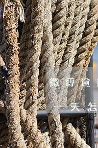 微博逾期還款后多久入賬(微博忘記還款逾期一天怎么辦)