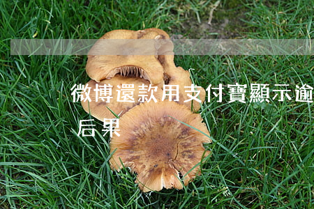 微博還款用支付寶顯示逾期 微博還款逾期的后果
