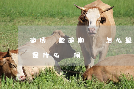 微博還款逾期時間怎么算(微博還款日期一般是什么時候)