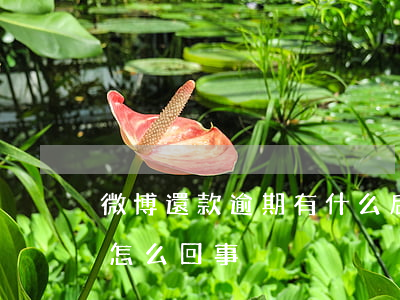 微博還款逾期有什么后果(微博還款一直失敗怎么回事)