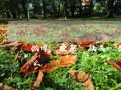 微博還逾期還款失敗(微博主動還款還不了怎么辦)