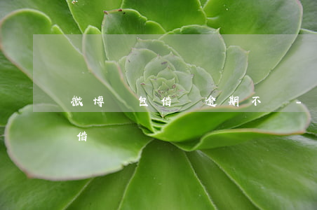 微博錢包借錢逾期不還-微博借錢逾期還能借錢嗎