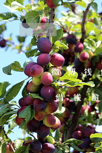 微博钱包借钱逾期多久打联系人-微博钱包借钱逾期多久打联系人电话啊