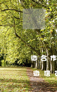 微合作信用卡逾期會怎樣(信用卡逾期有人加微信可信嗎)