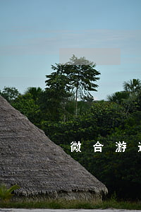 微合游逾期催收（微合游逾期）