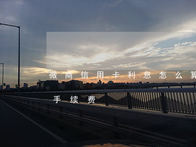 微商信用卡利息怎么算-微信商业版信用卡手续费