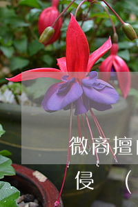 微商擅自使用照片推銷產(chǎn)品是侵權(quán)嗎