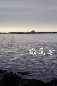 微商李影的个人资料(微商李影身价)