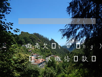 微商欠網(wǎng)貸(網(wǎng)商貸可以微信還款嗎)