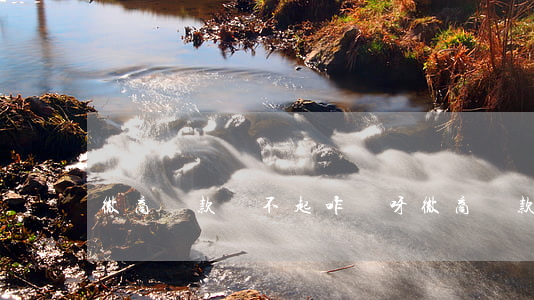 微商貸款還不起咋辦呀（微商貸款還不起咋辦）
