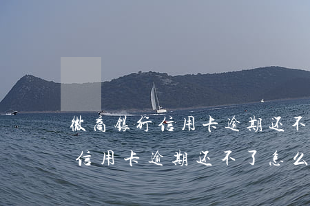 微商银行信用卡逾期还不了怎么办(微商银行信用卡逾期还不了怎么办)