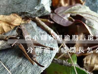 微小鋪分期逾期后還清還能辦理么-微小鋪分期逾期時間長怎么辦