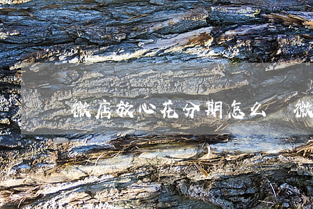 微店放心花分期怎么樣（微店放心花分期免息）
