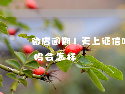 微店逾期1天上征信吗(微店逾期1天上征信吗会怎样)