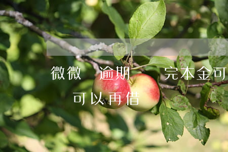 微微貸逾期說還完本金可以再用-微貸還完還可以再借嗎