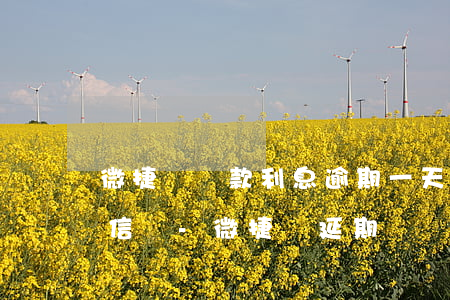微捷貸貸款利息逾期一天上企業(yè)征信嗎?-微捷貸延期